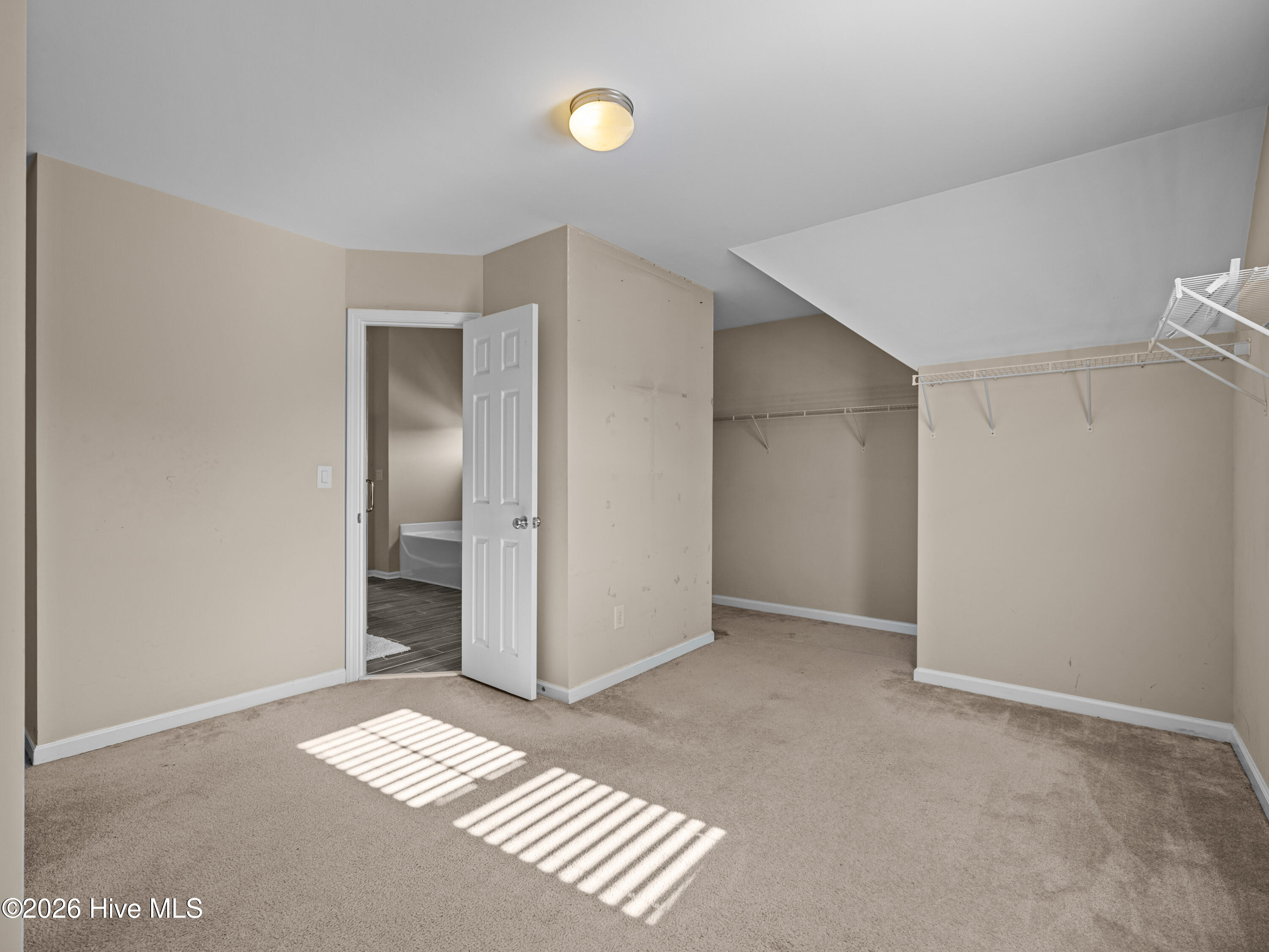 100553389 | Photo 44