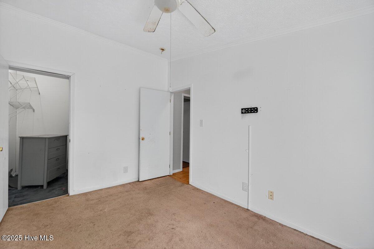 100539817 | Photo 21