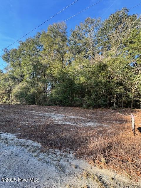 Homes for sale in Garland, NC | 0 Garland Hwy, Garland, NC 28441 | MLS# 100544855