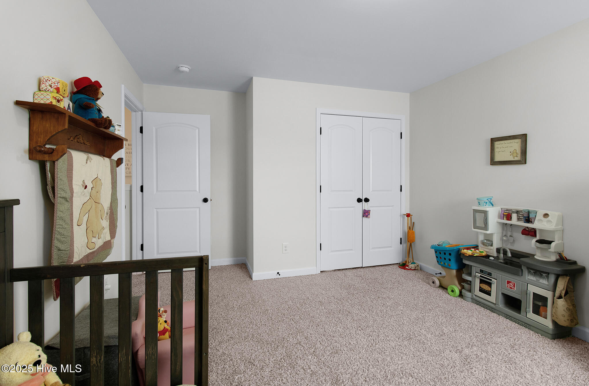 100532125 | Photo 27