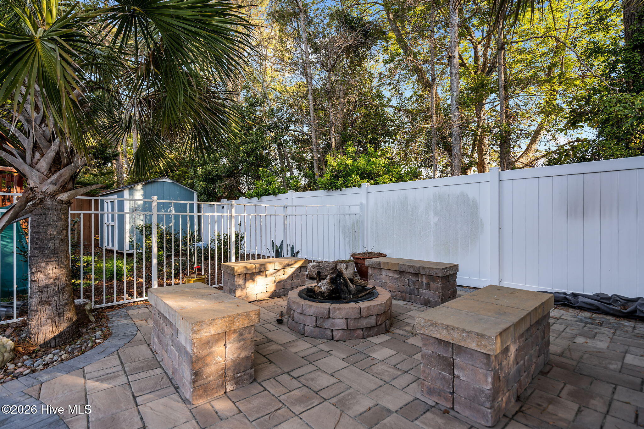 100565239 | Photo 62