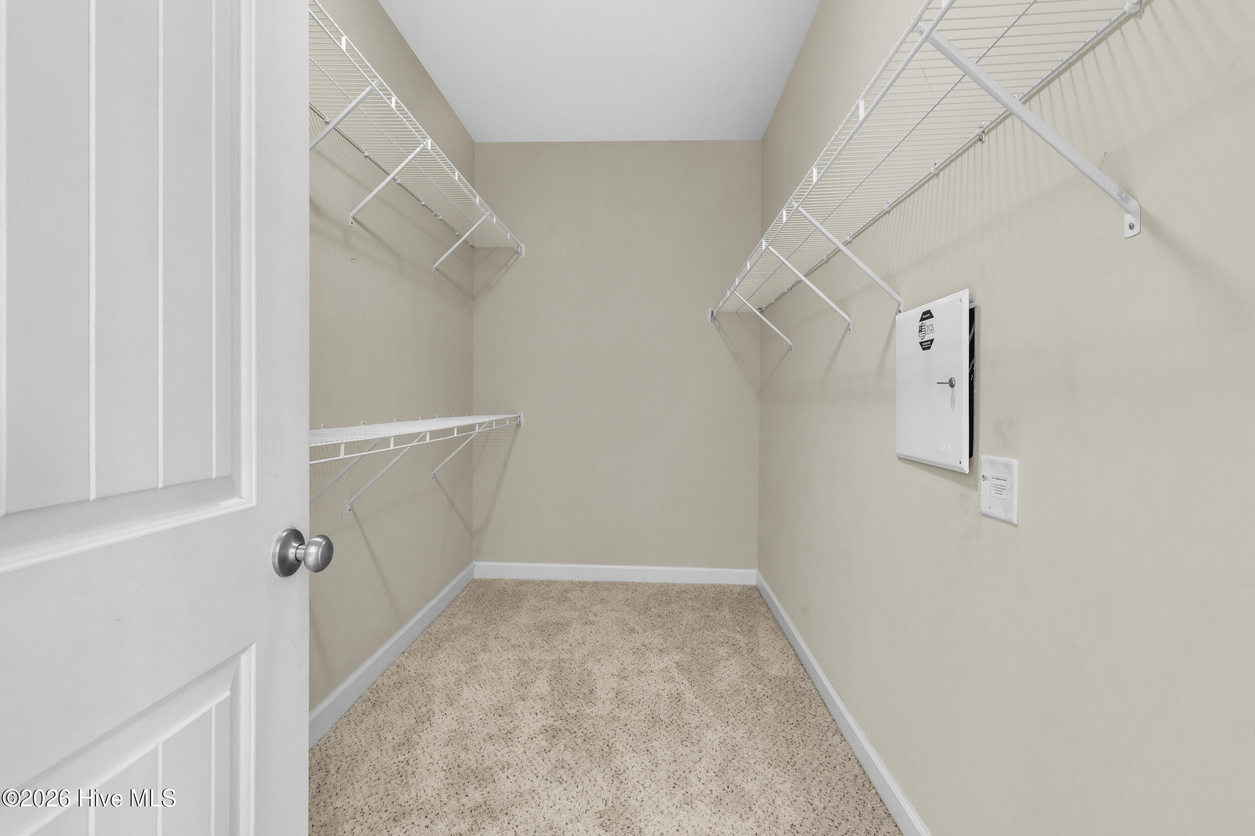 100557134 | Photo 25