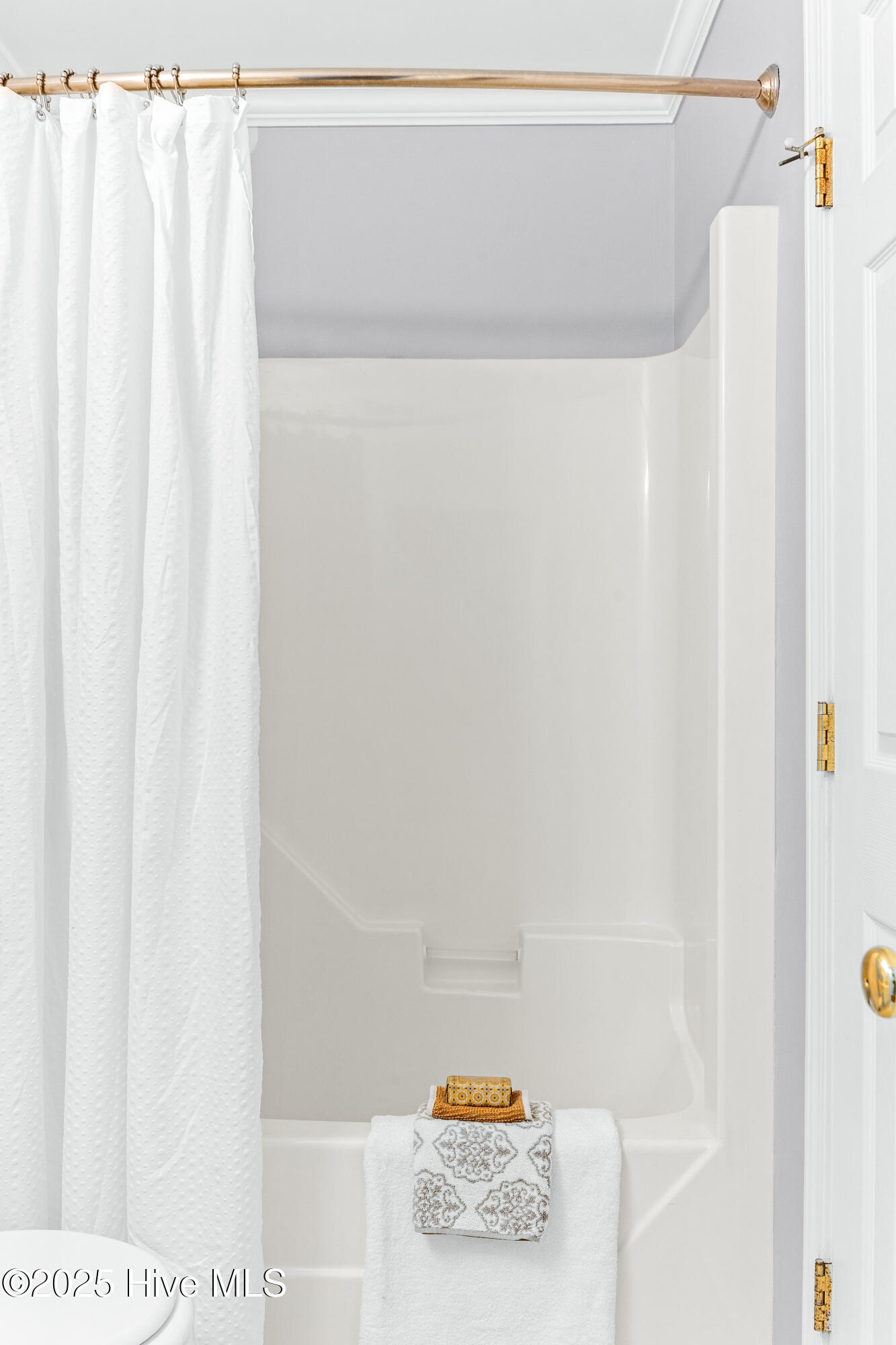 100535328 | Photo 14