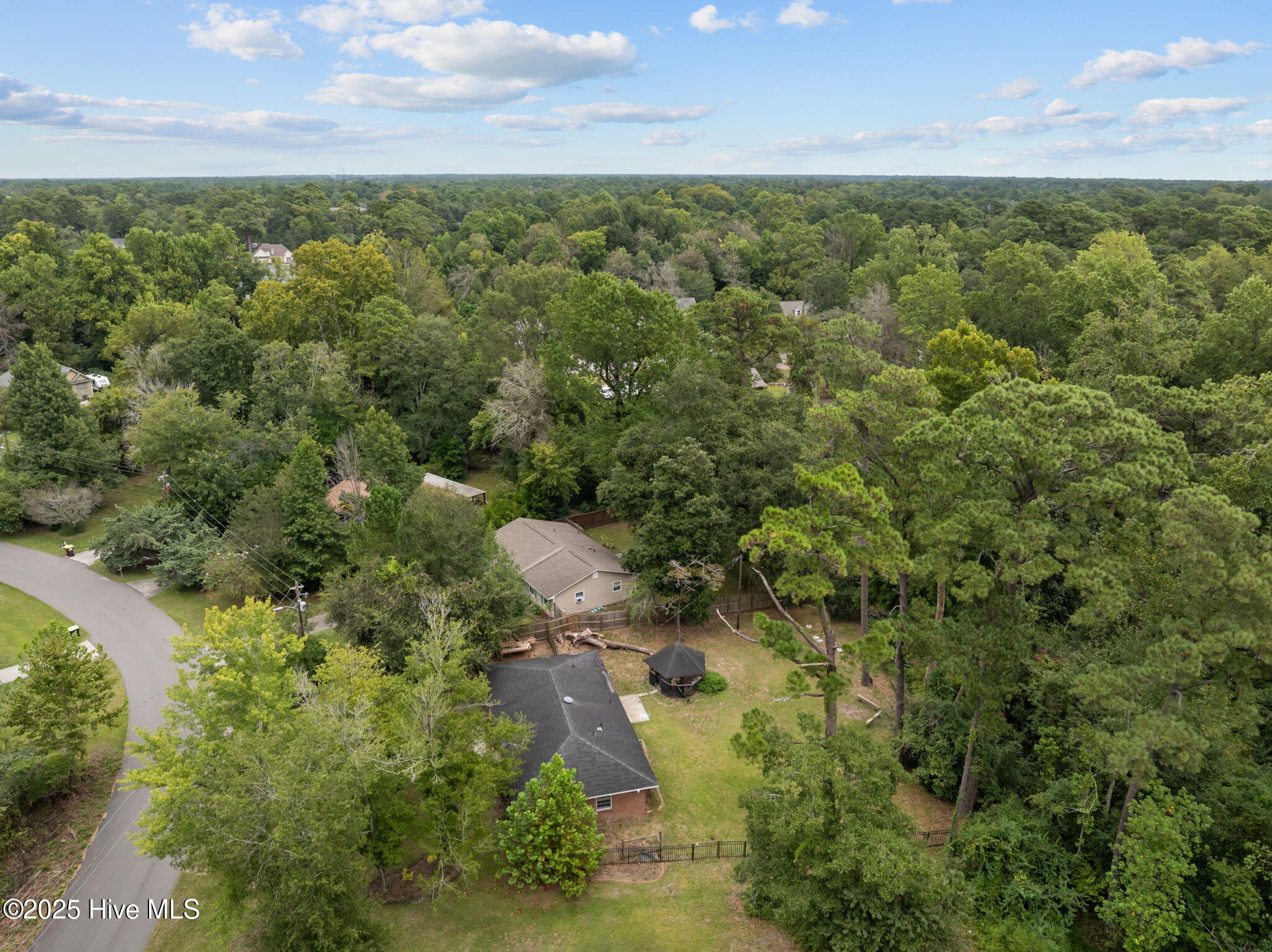 100531423 | Photo 49