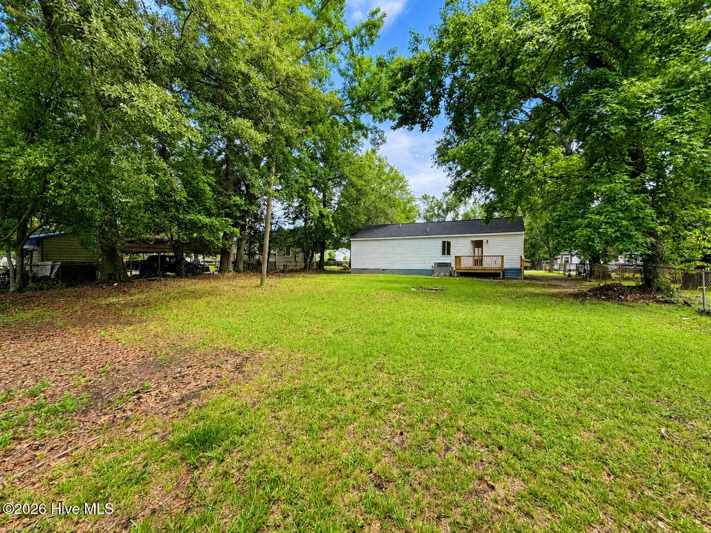 35_sunny_backyard_with_leafy_trees