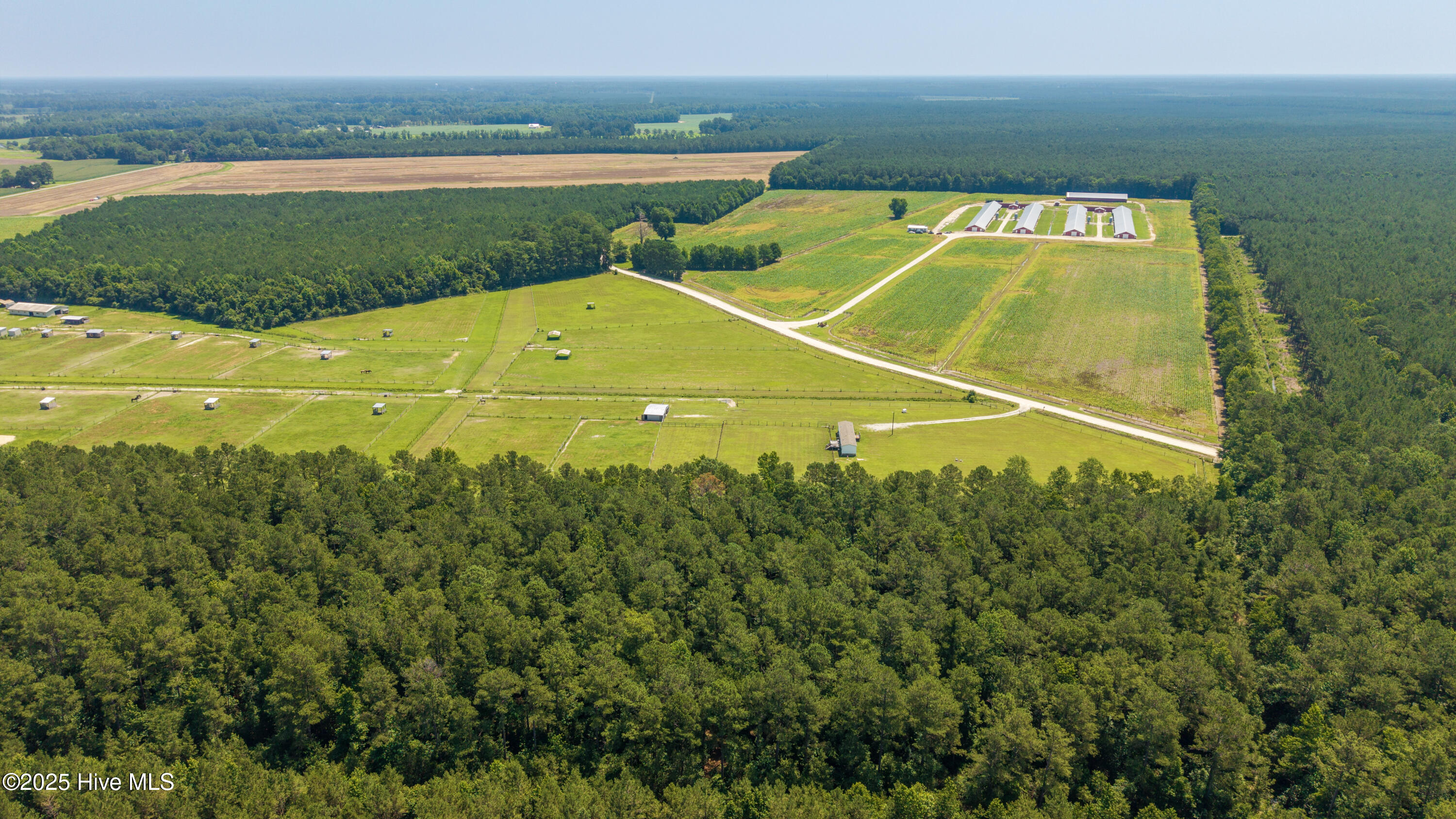 65-DJI_20250623235204_0084_D-HDR