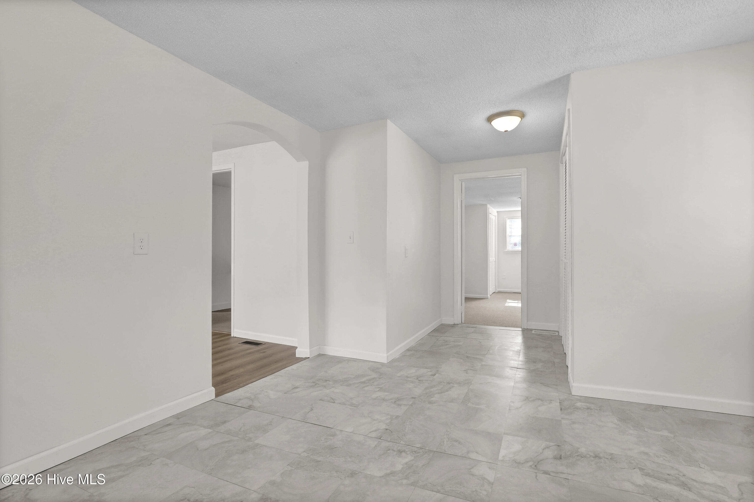 100567063 | Photo 14