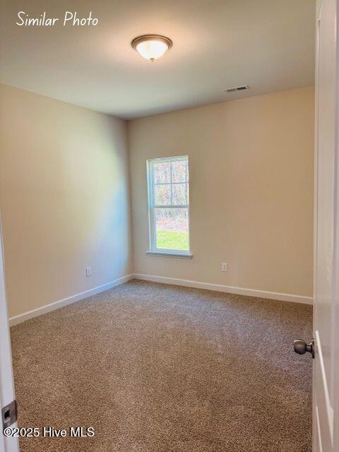 100511917 | Photo 13