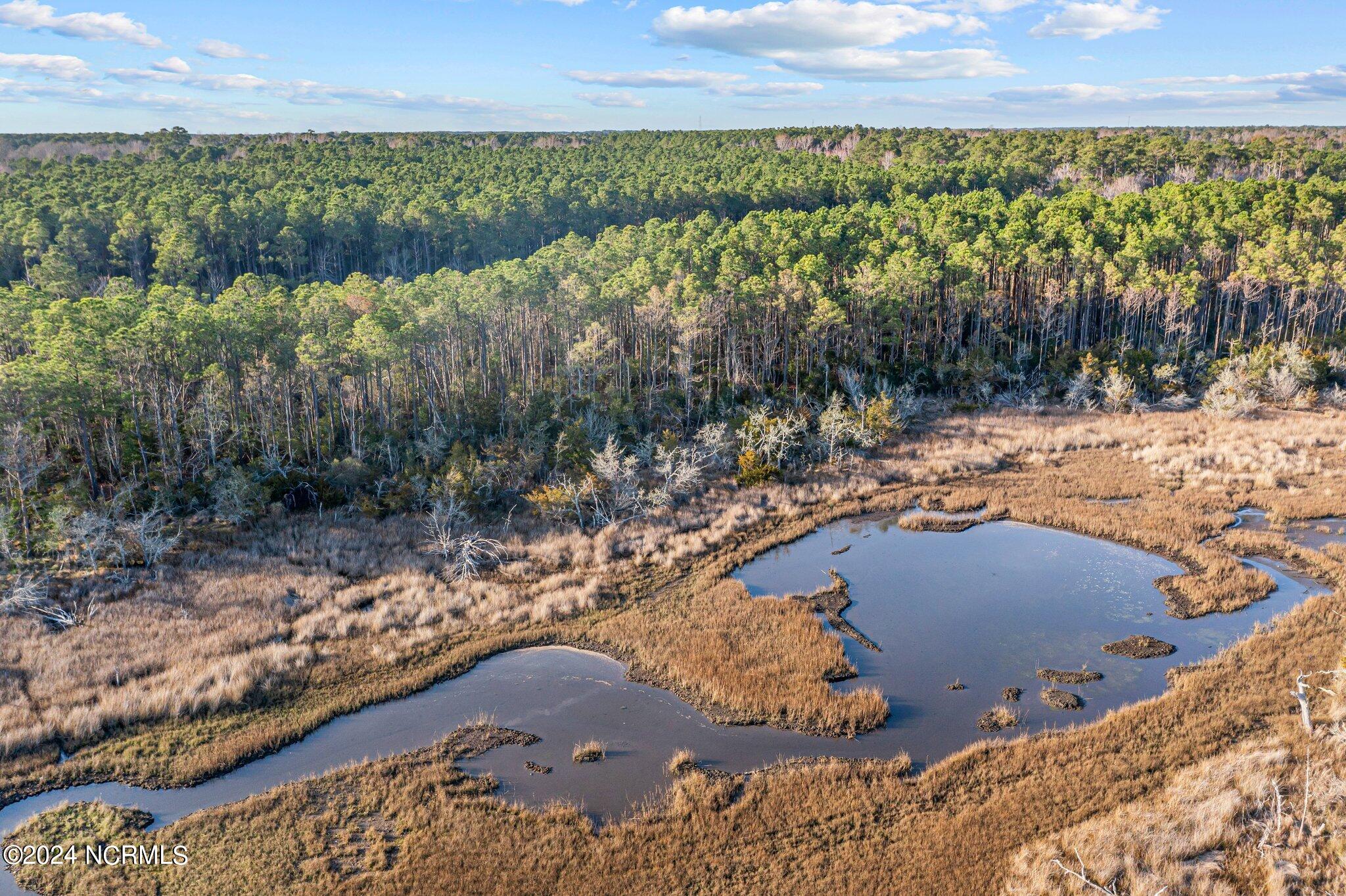 100432193 | Photo 16