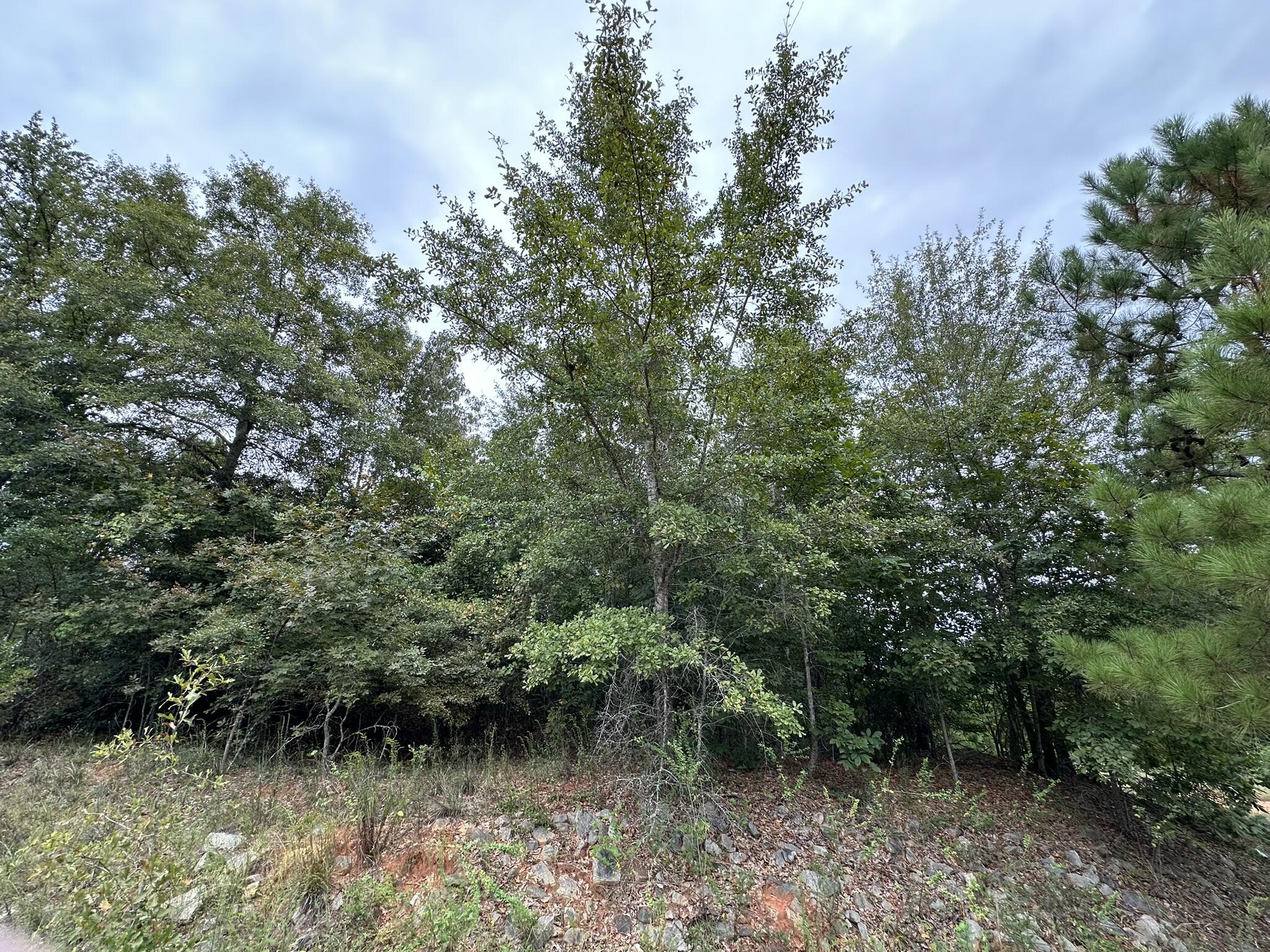 Homes for sale in Louisville, GA | 0-36 Nelson Ct, Louisville, GA 30434 | MLS# 533736