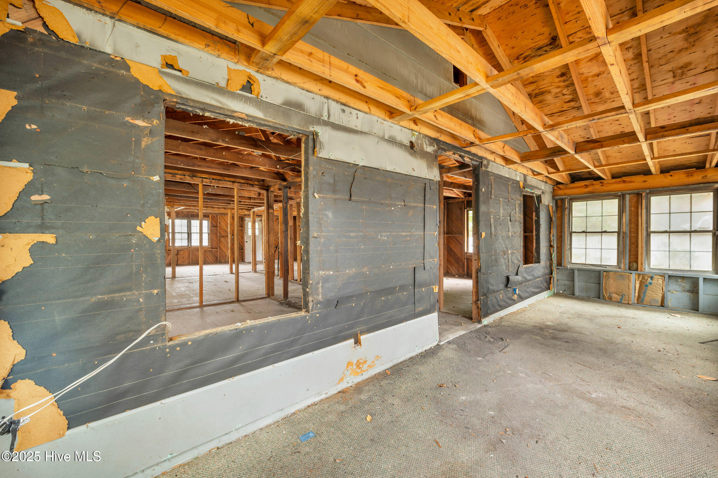 100530878 | Photo 11