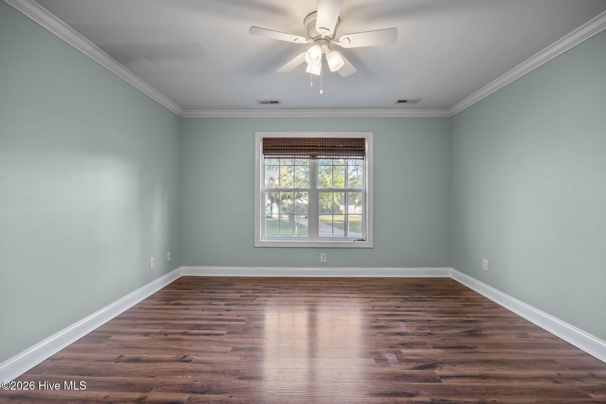 100564597 | Photo 24