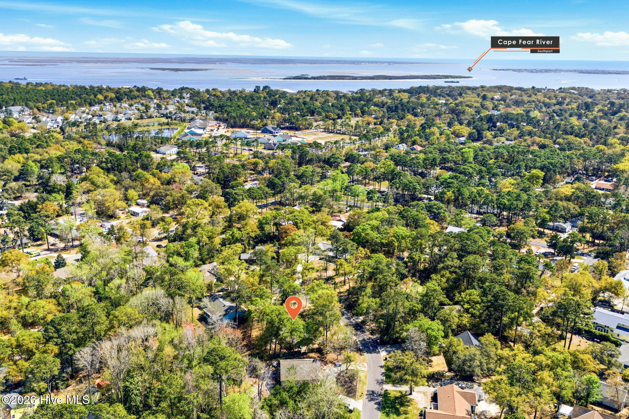 100564618 | Photo 50