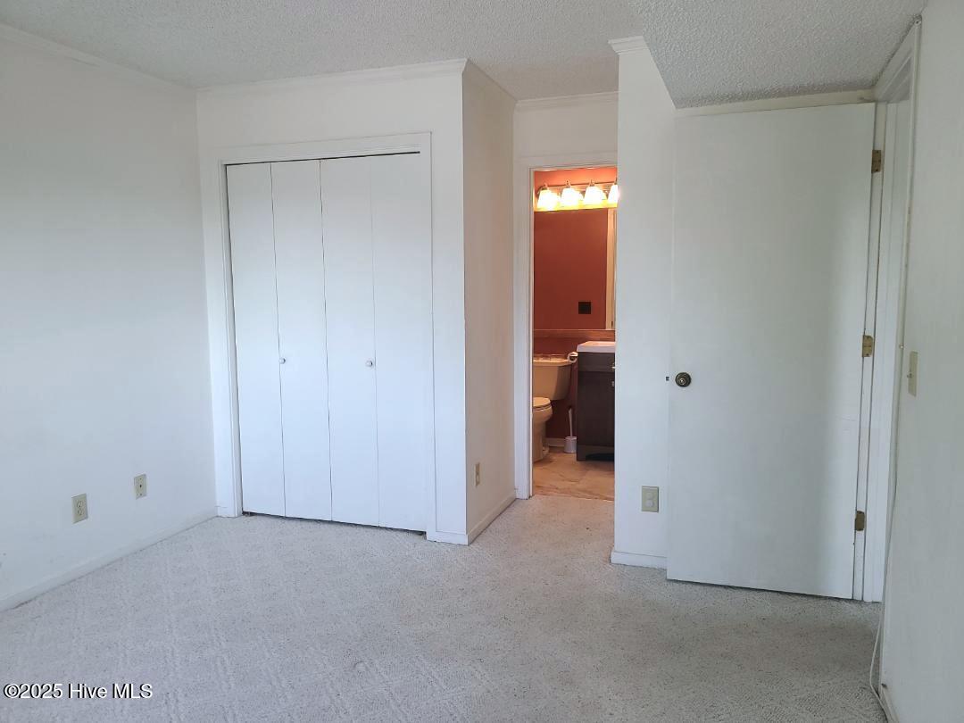 100499294 | Photo 10