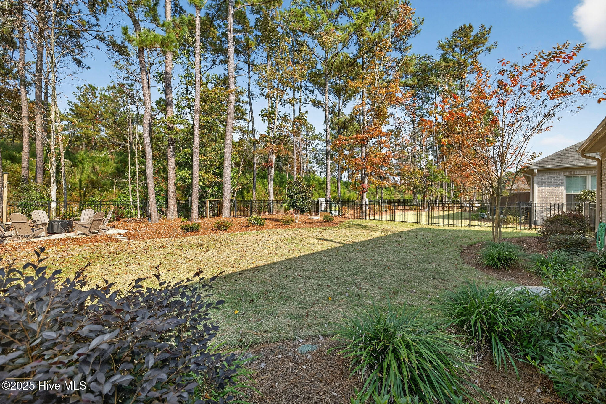 100543133 | Photo 49