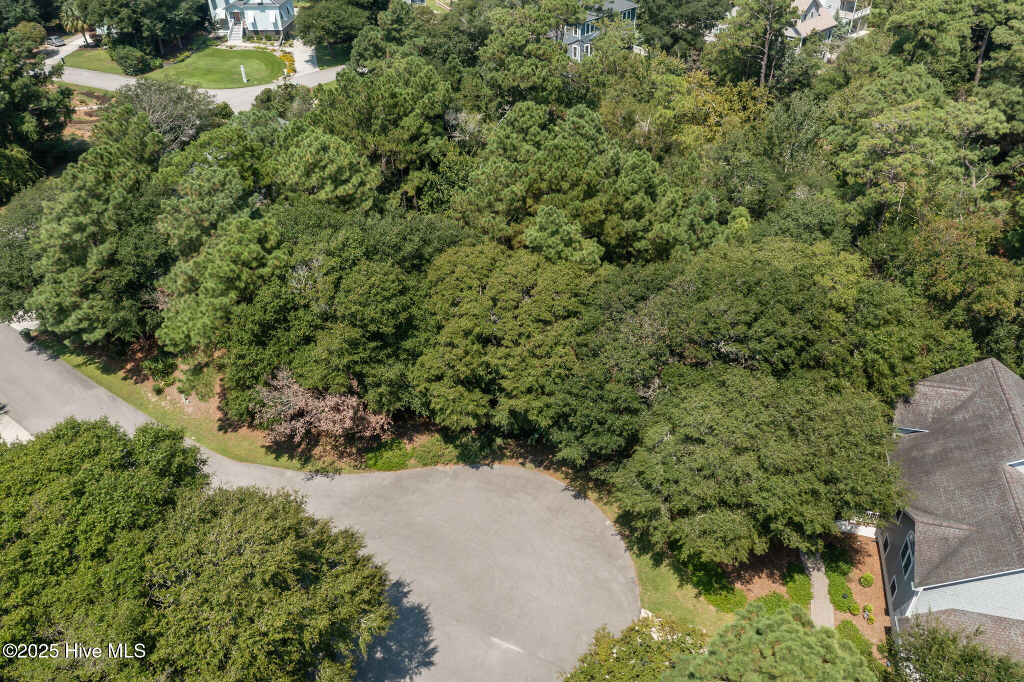 100526103 | Photo 10