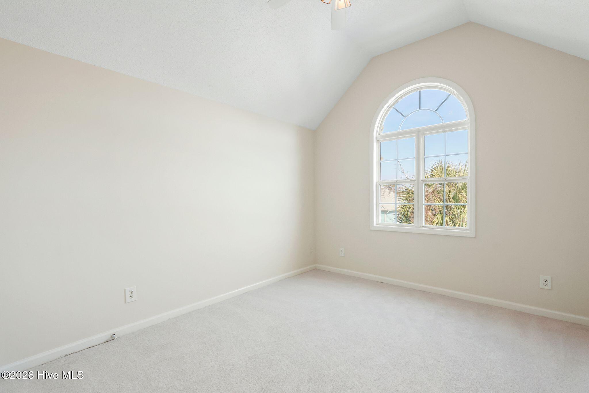 100558031 | Photo 33