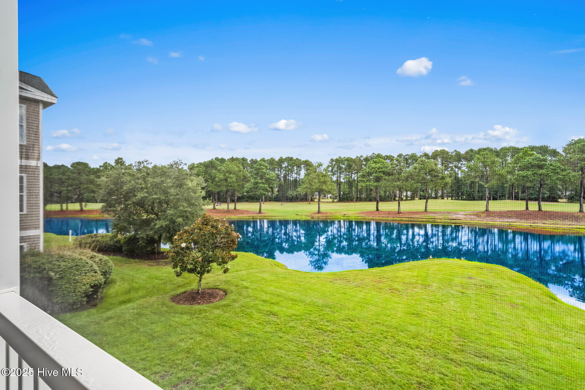 100551162 | Photo 26