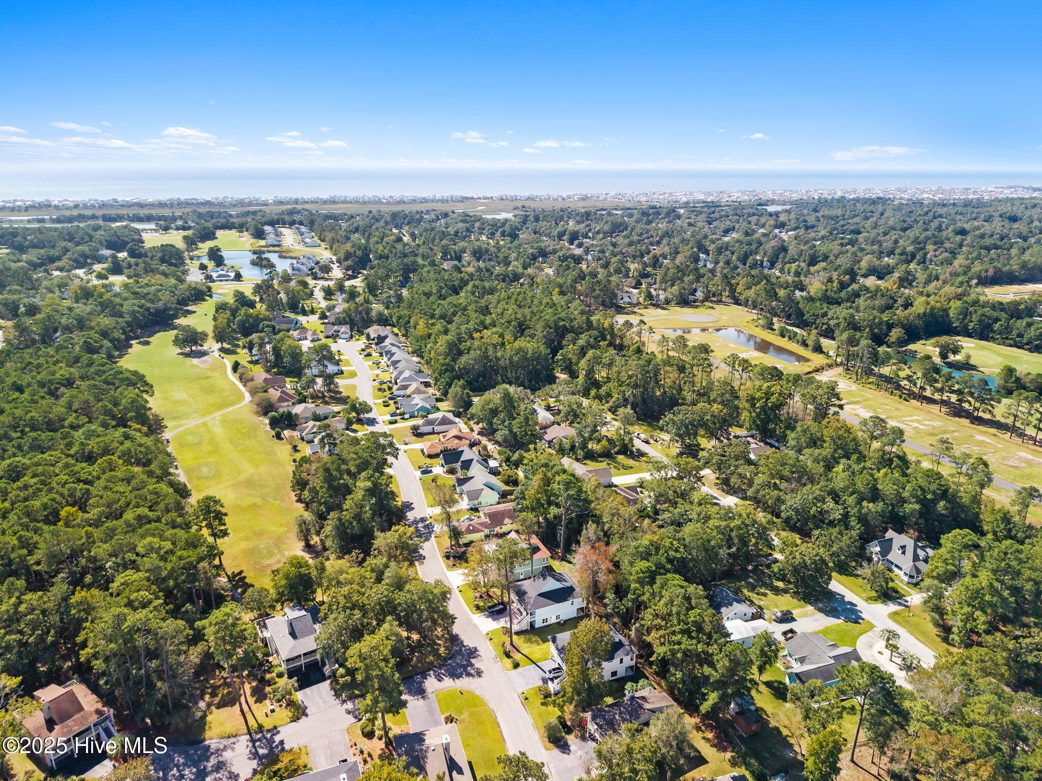 100535122 | Photo 29