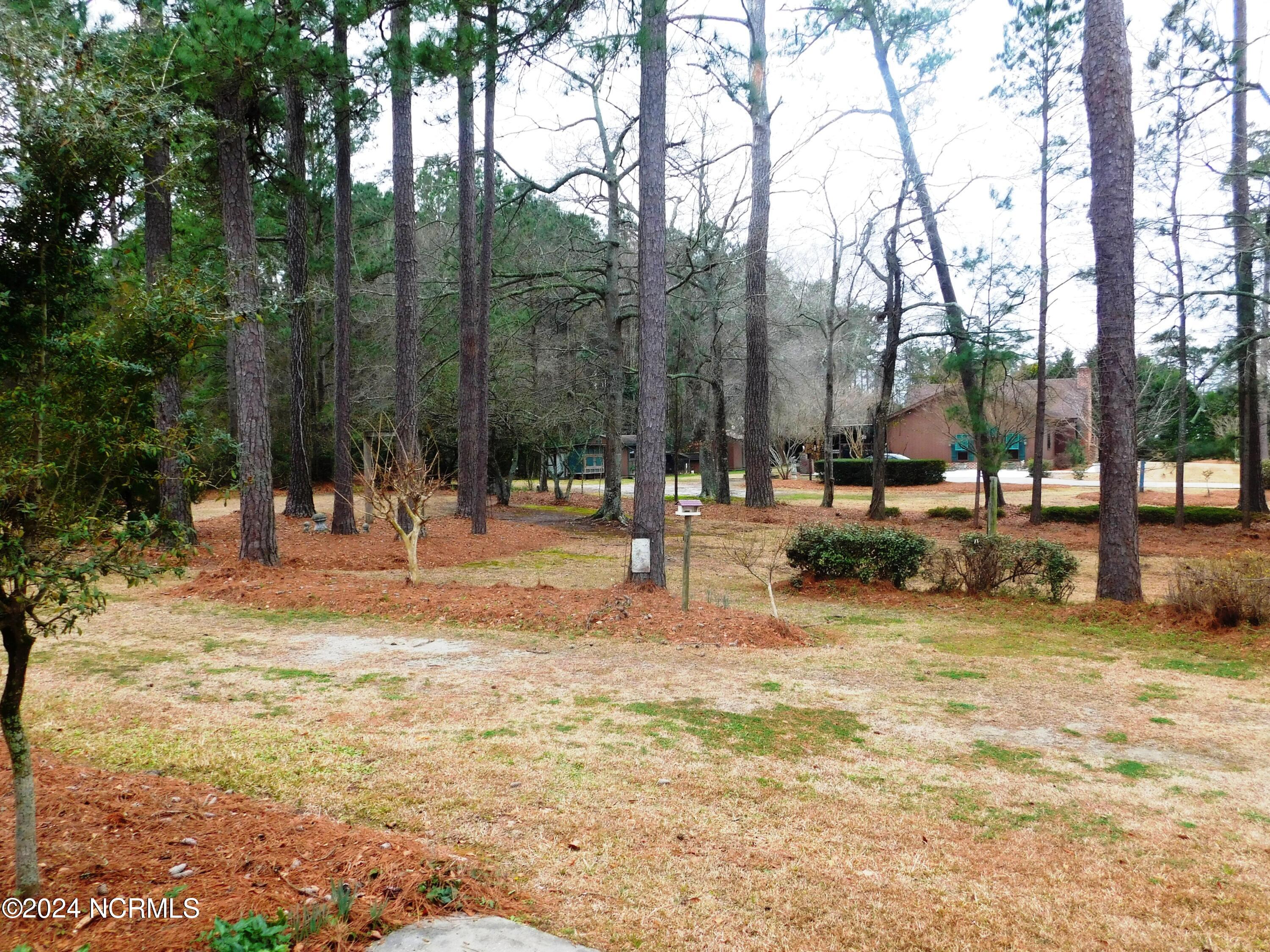 100429484 | Photo 25