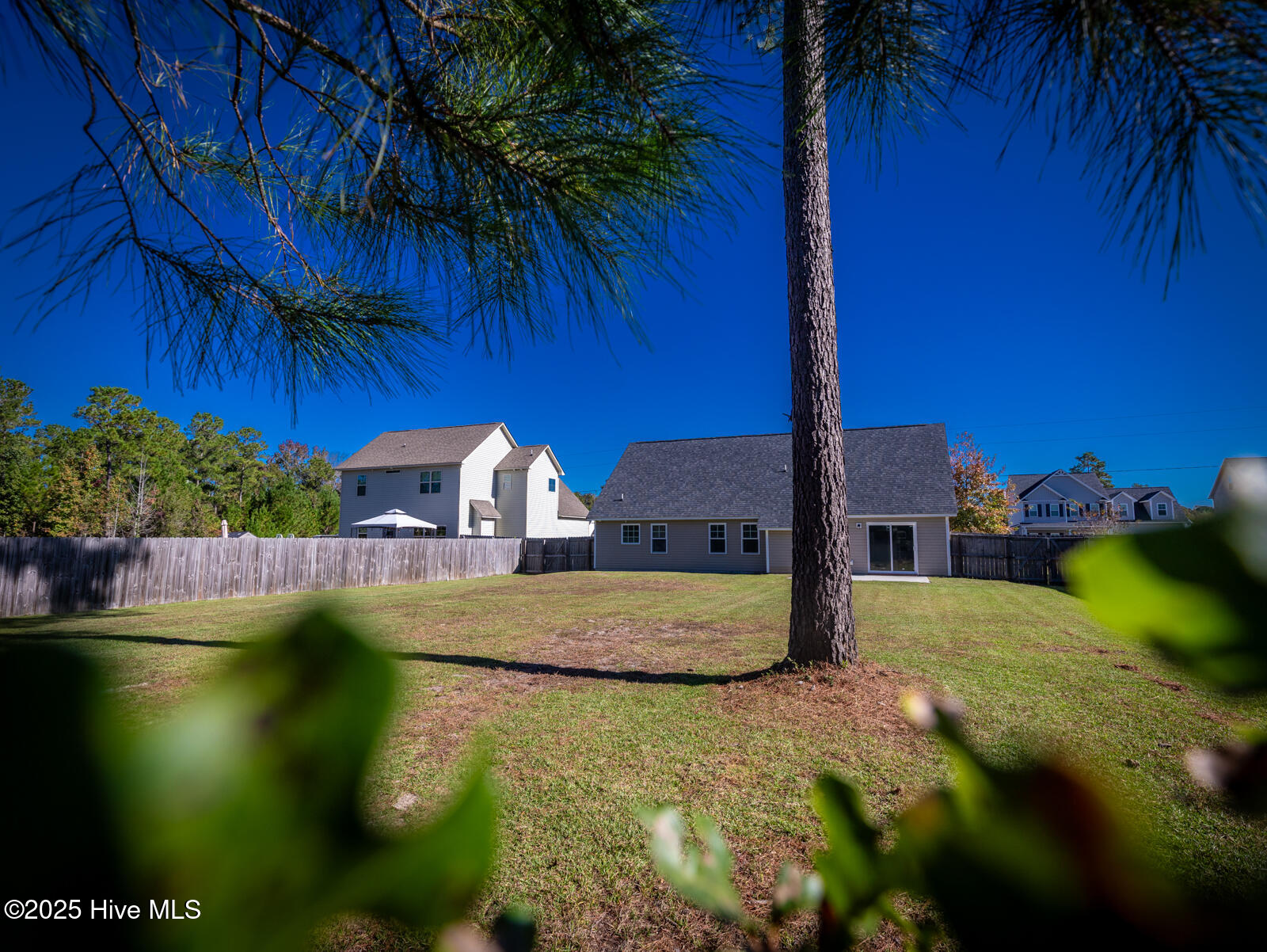 100539425 | Photo 34