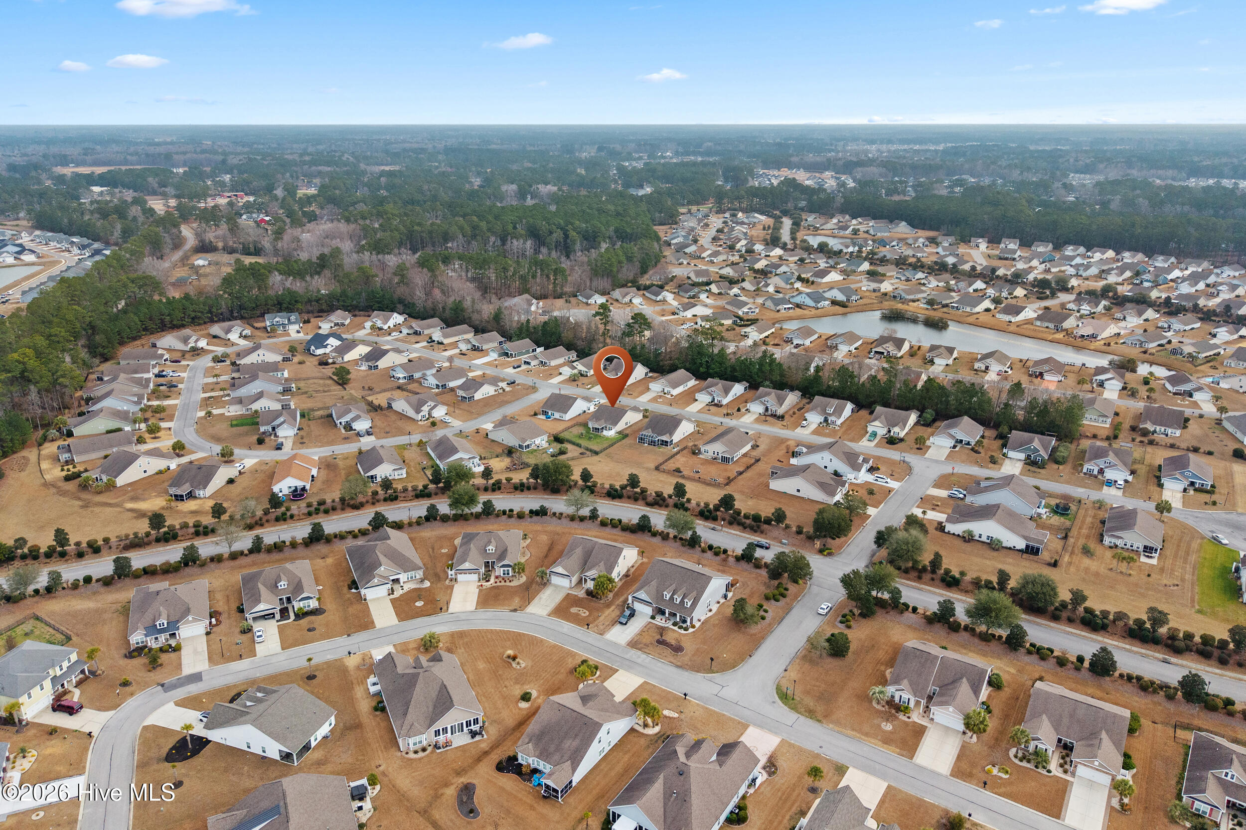 100554987 | Photo 44