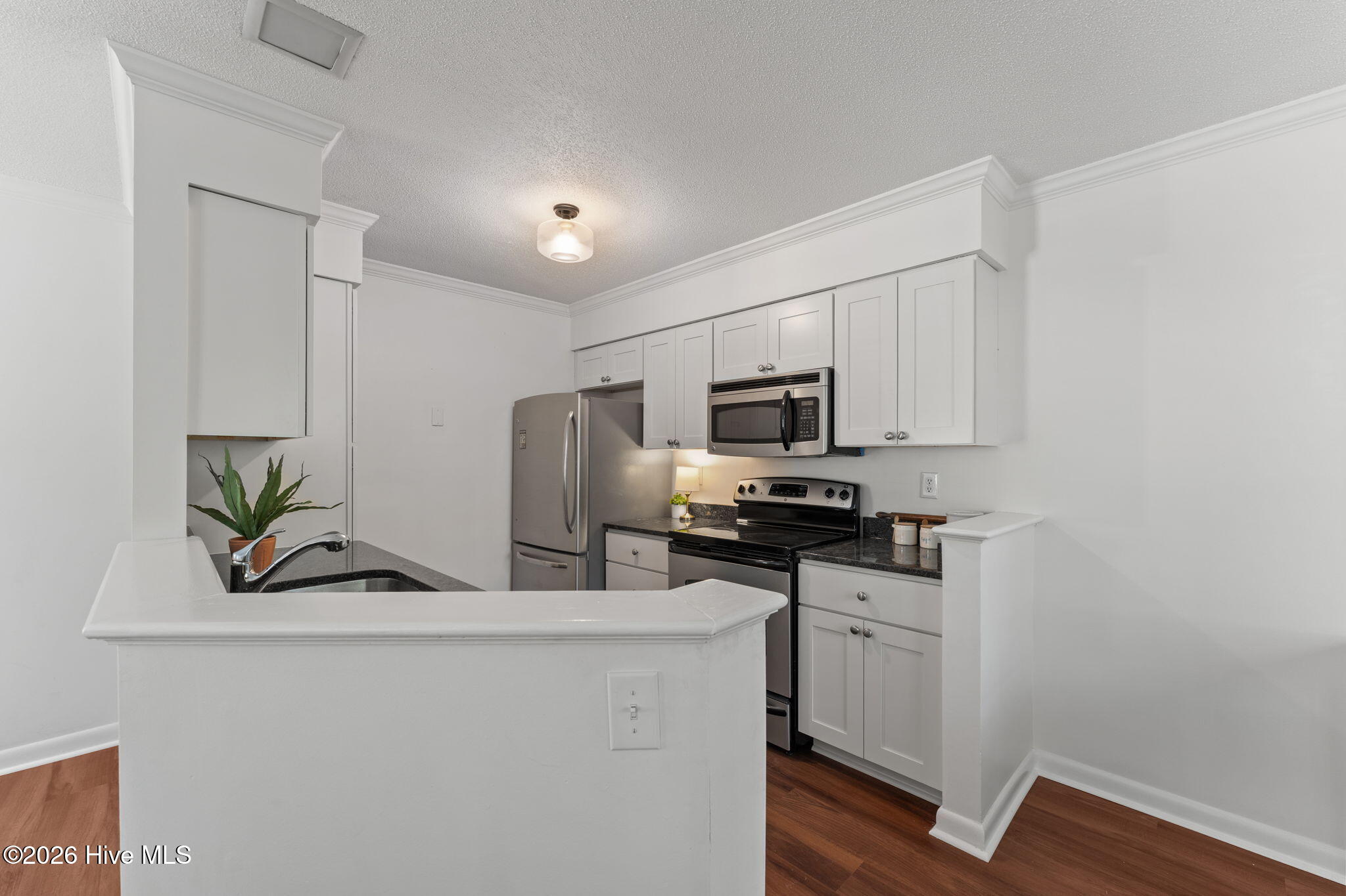 1302 Chancery kitchen