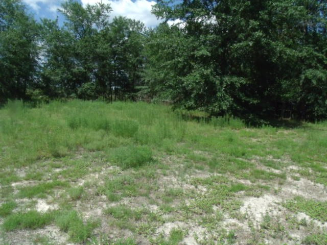 Pasture