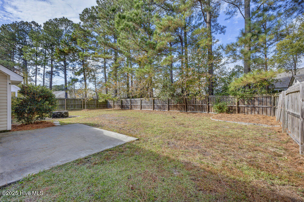 100543937 | Photo 26