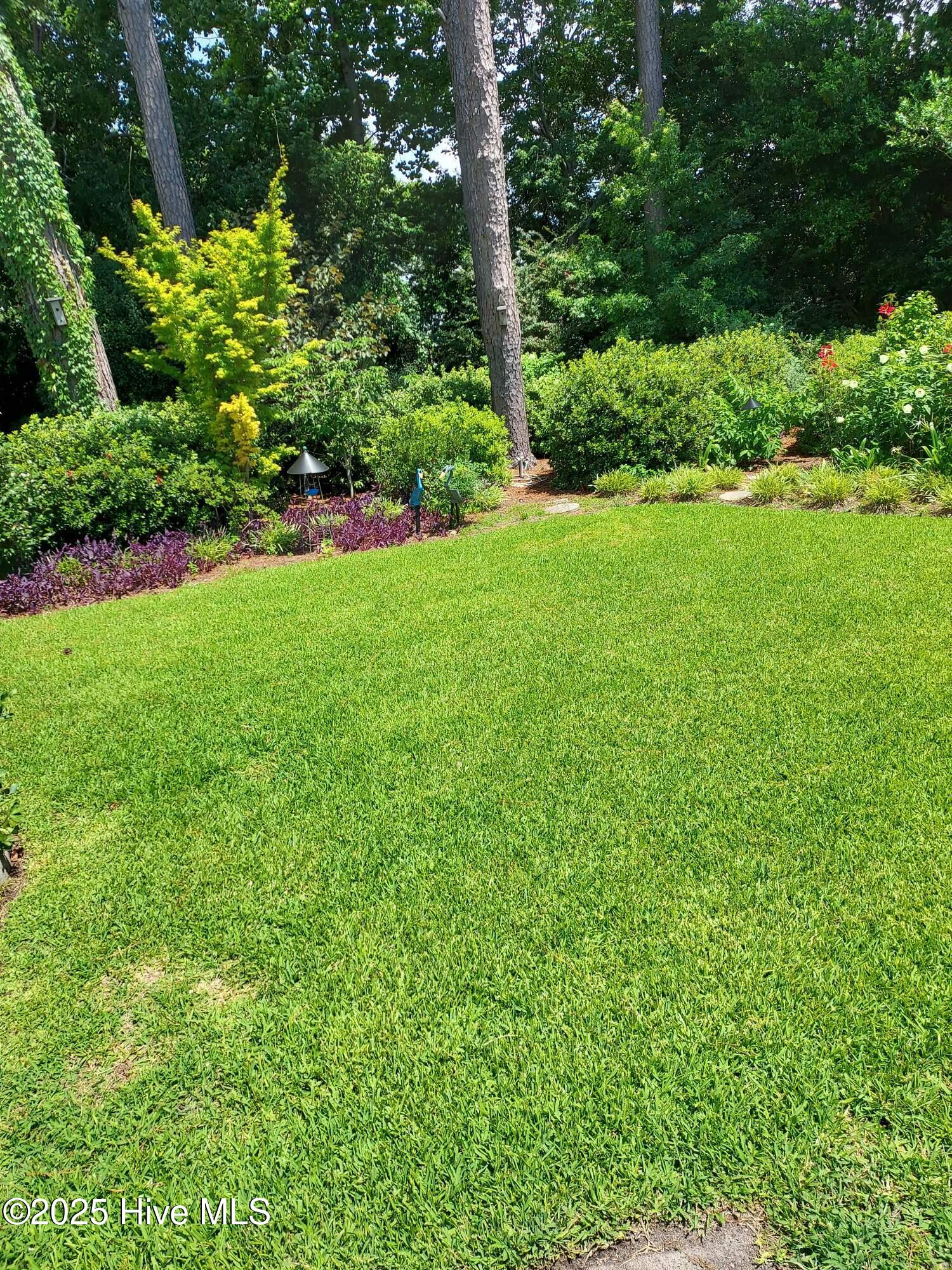 100537992 | Photo 51