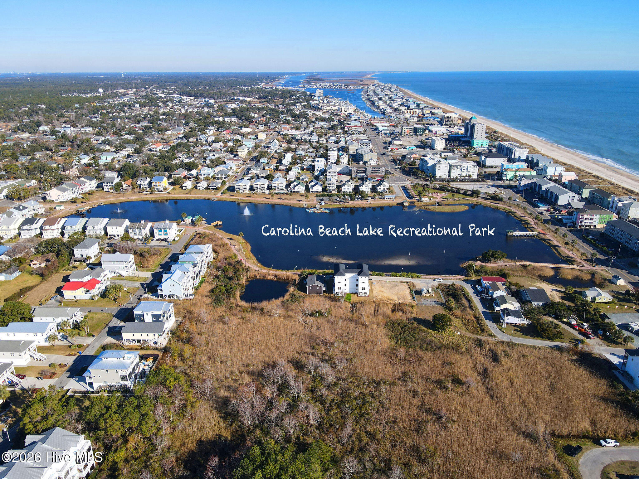 100562834 | Photo 58