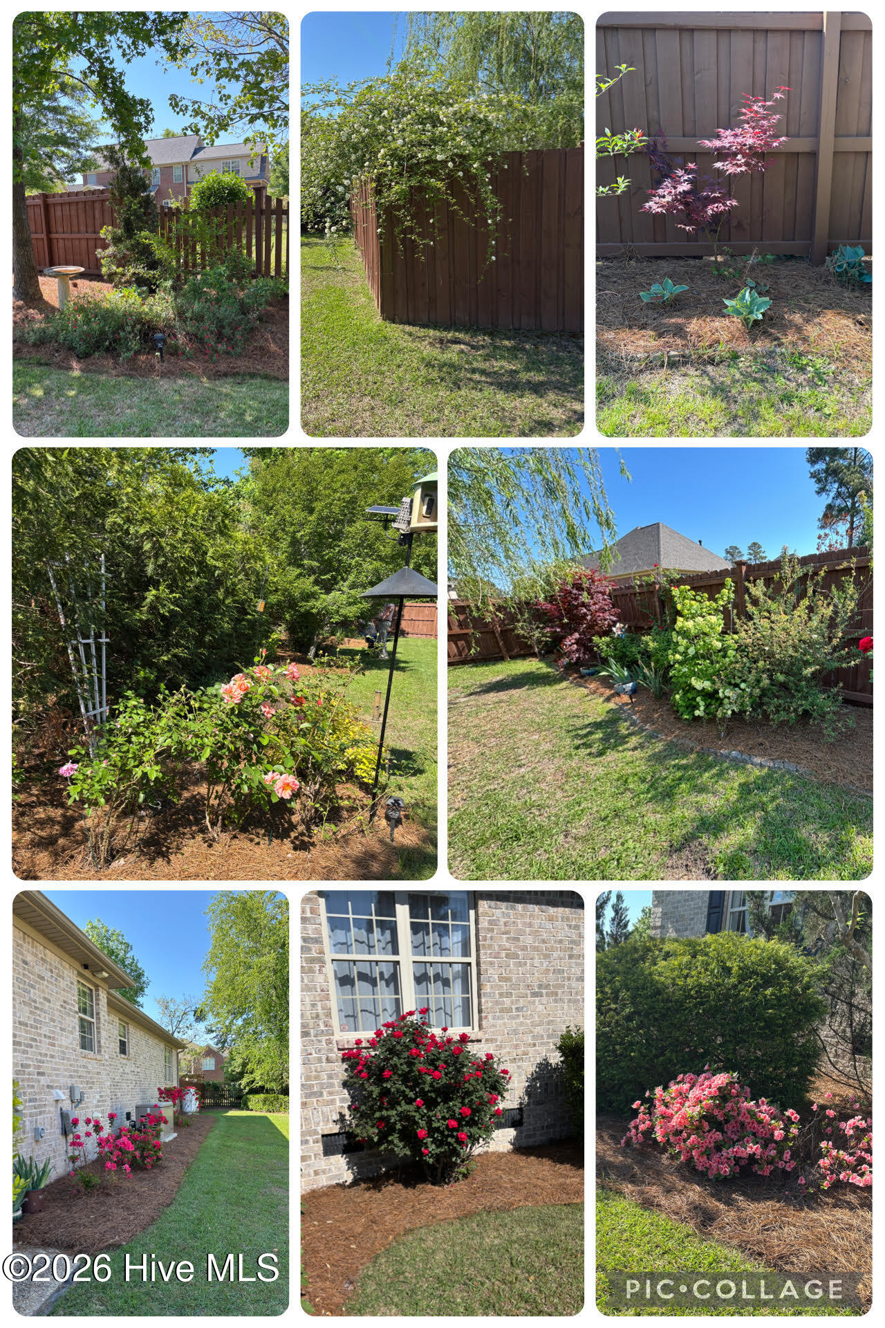 100559309 | Photo 45