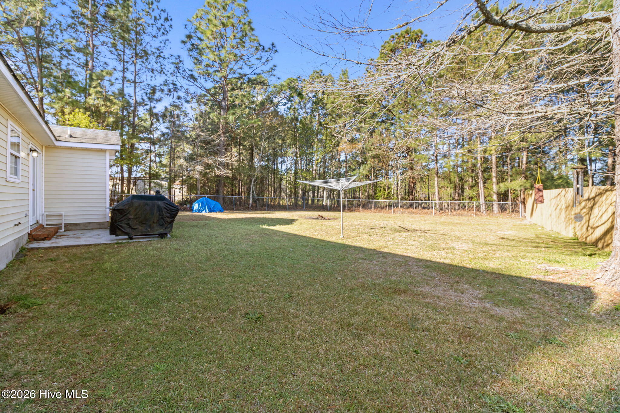 100563206 | Photo 37