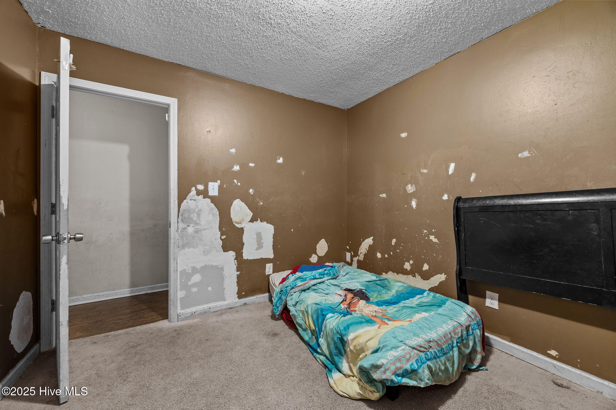 100545401 | Photo 25