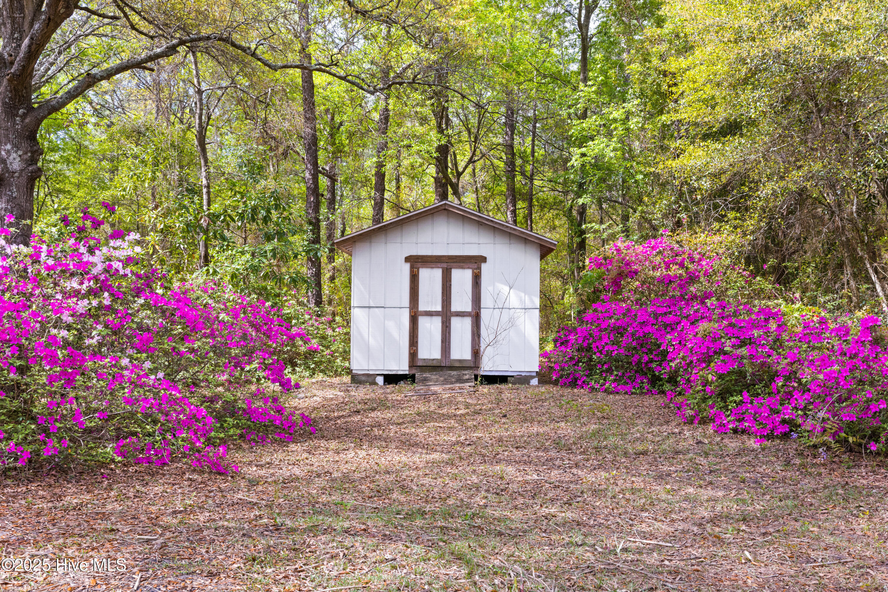 100548409 | Photo 45