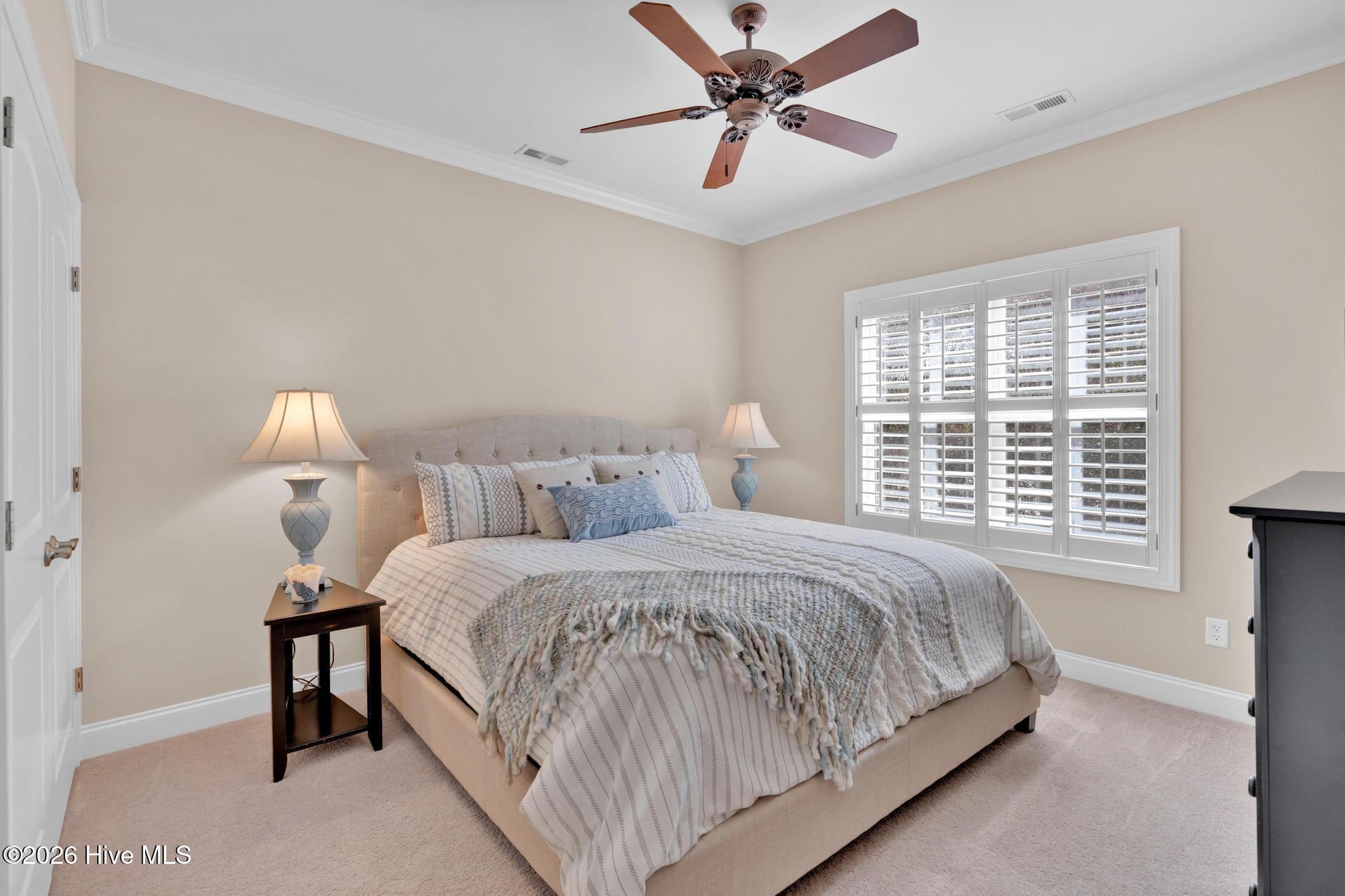 100559631 | Photo 29