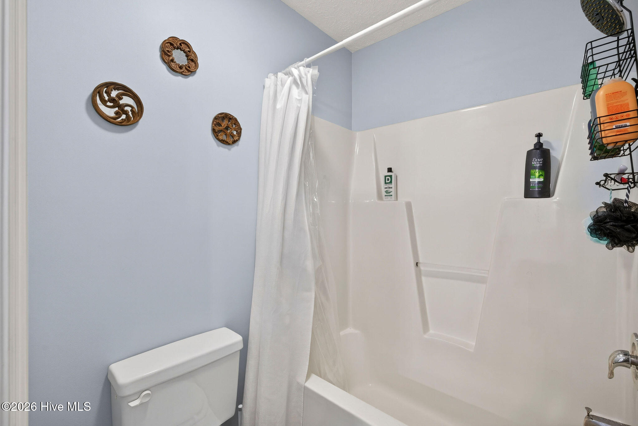 100567464 | Photo 27