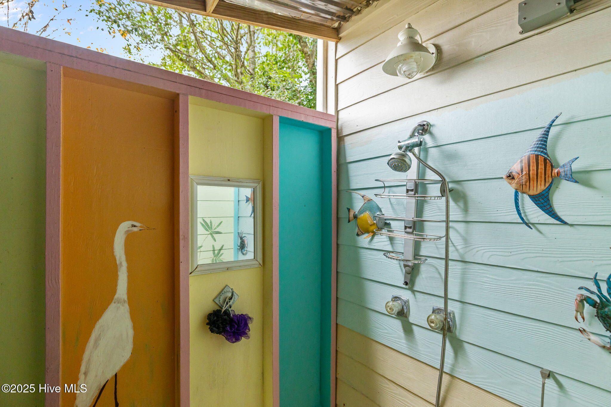 100558130 | Photo 47