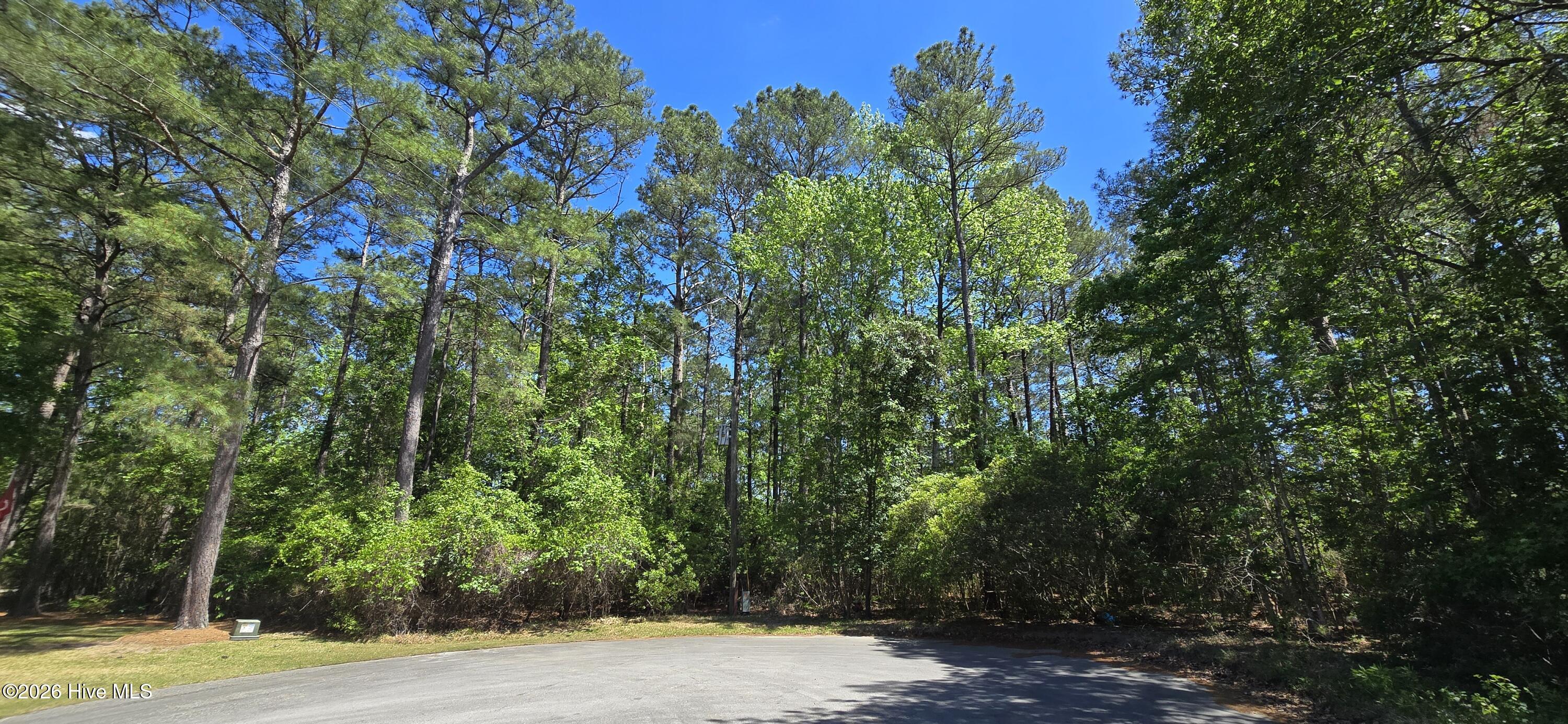 L-1 S-N Palmer Drive, Shallotte, NC, 28470