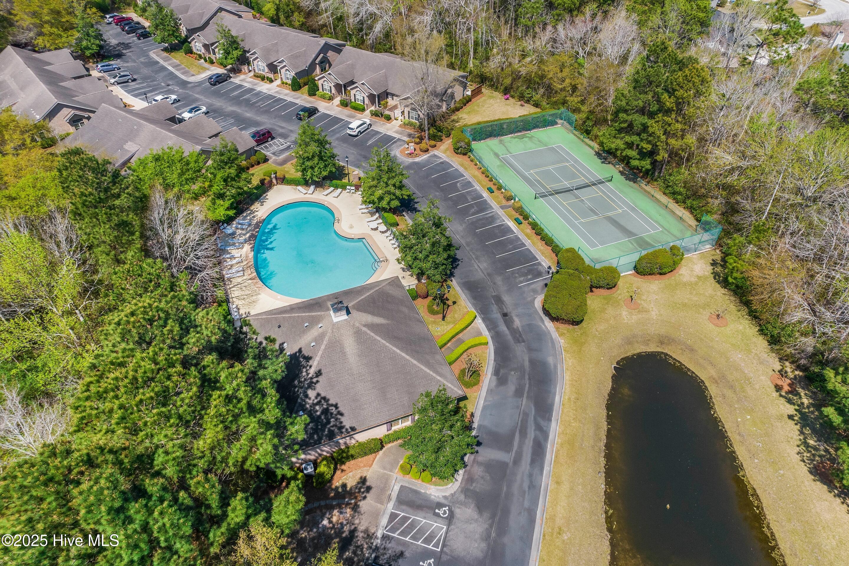 100534079 | Photo 35