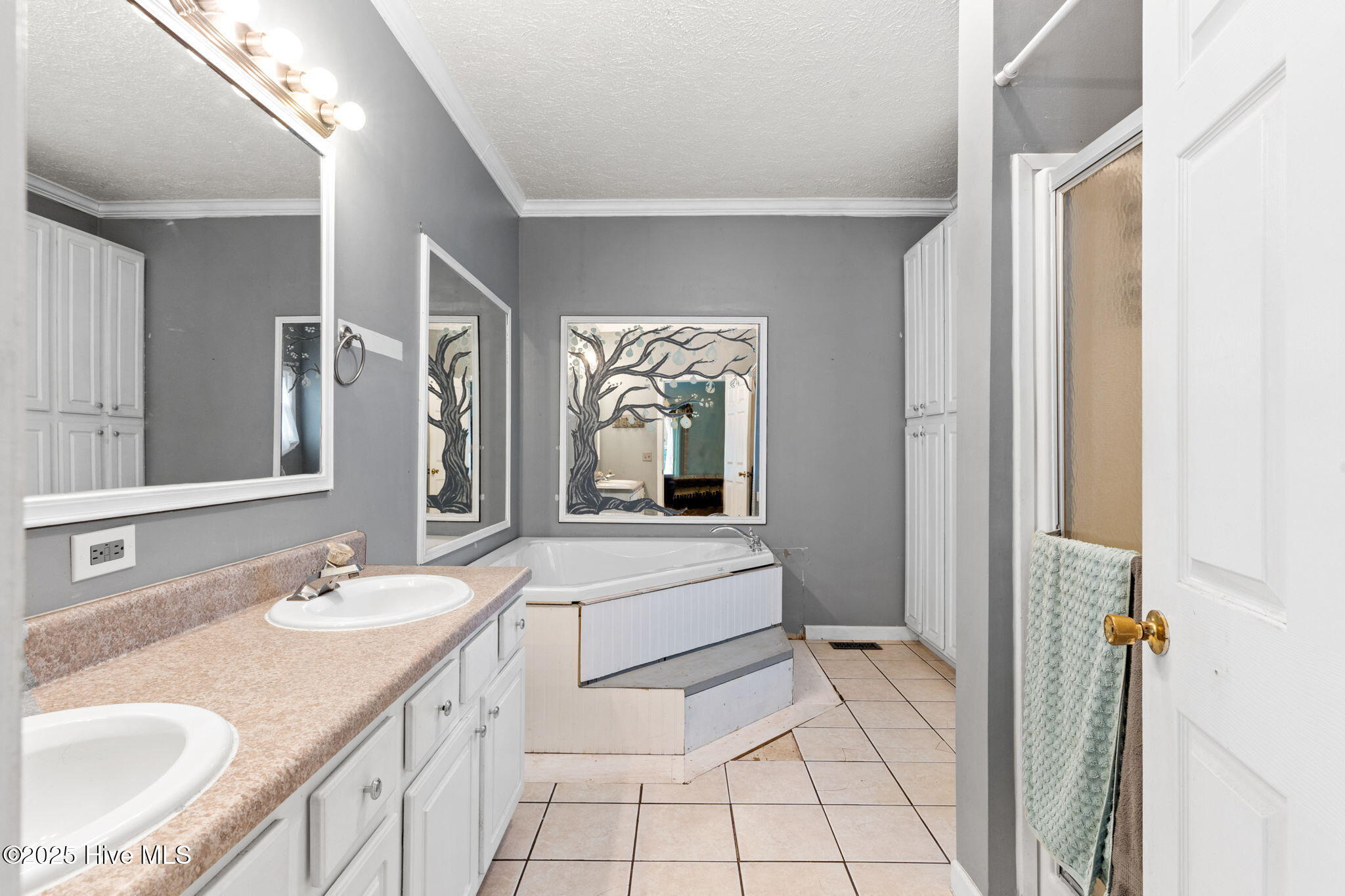 100531169 | Photo 32