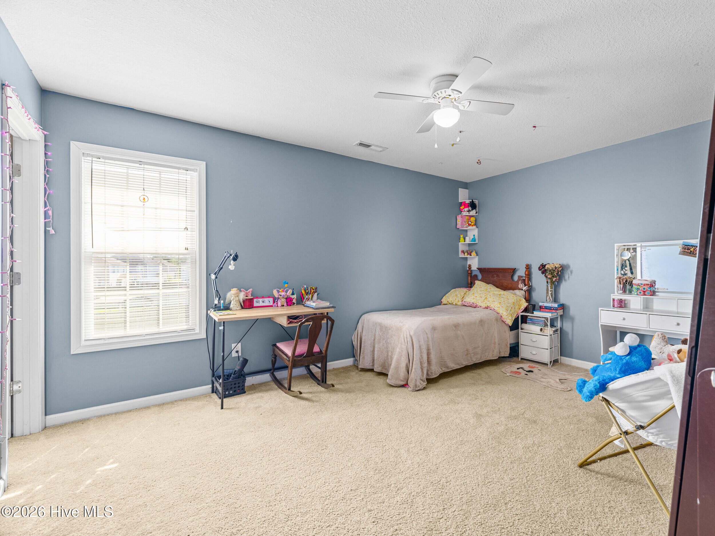 100568044 | Photo 37