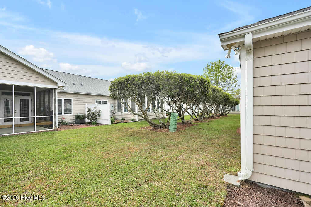 100565781 | Photo 31