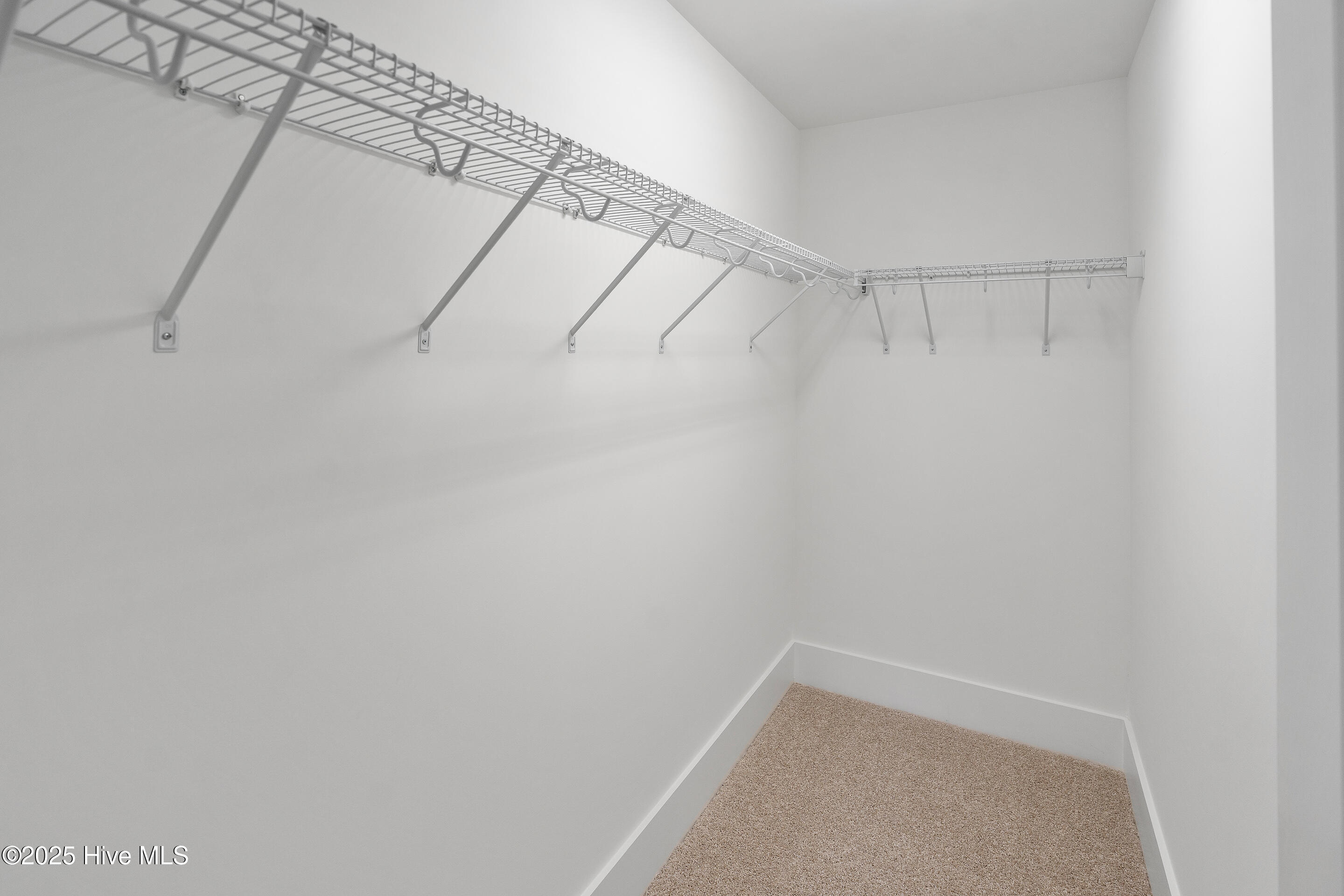 100506457 | Photo 39