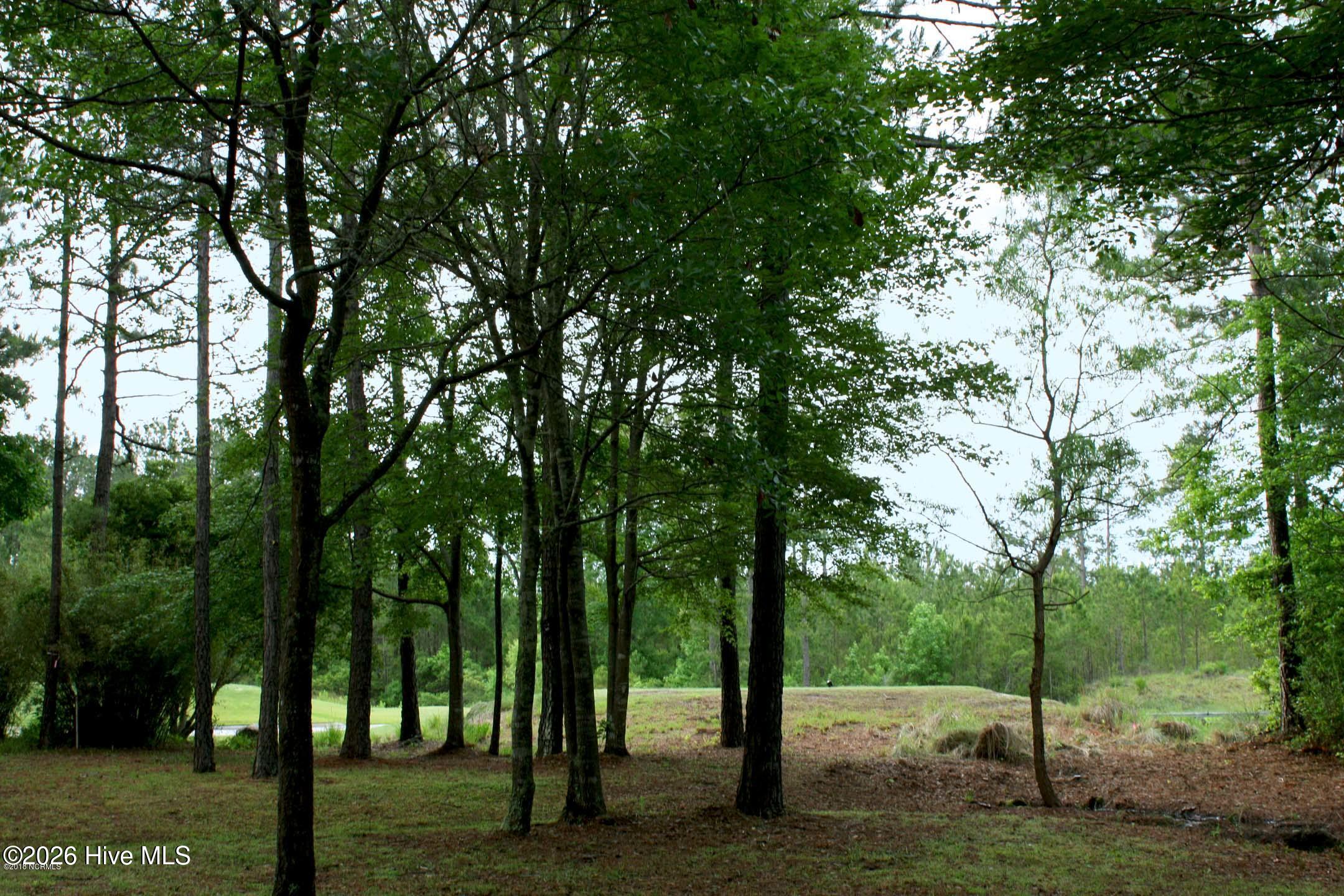 6408 Castlebrook, Ocean Isle Beach, North Carolina, 0 ,Residential Lot,For sale,Castlebrook,100568114