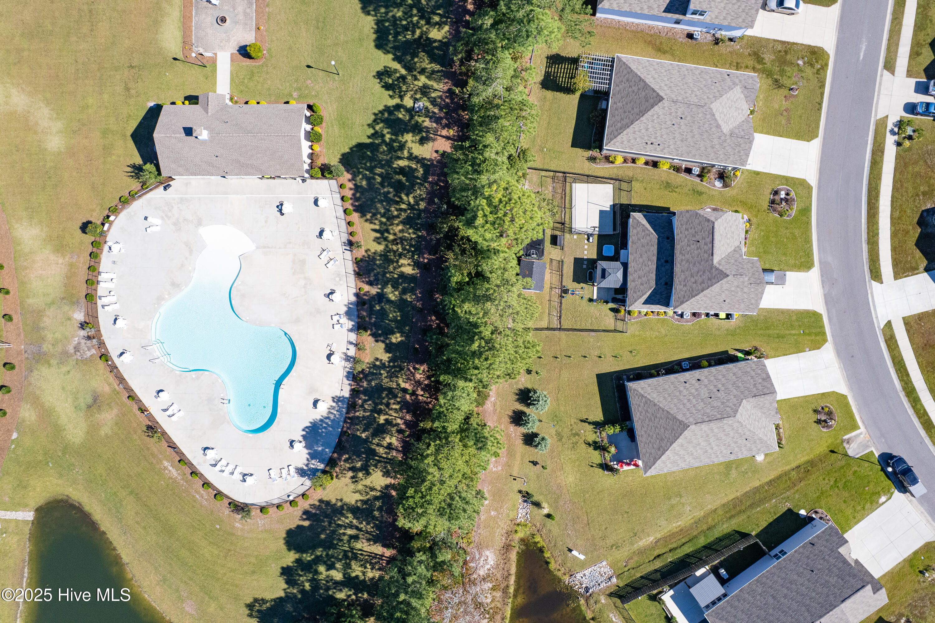 100537836 | Photo 50