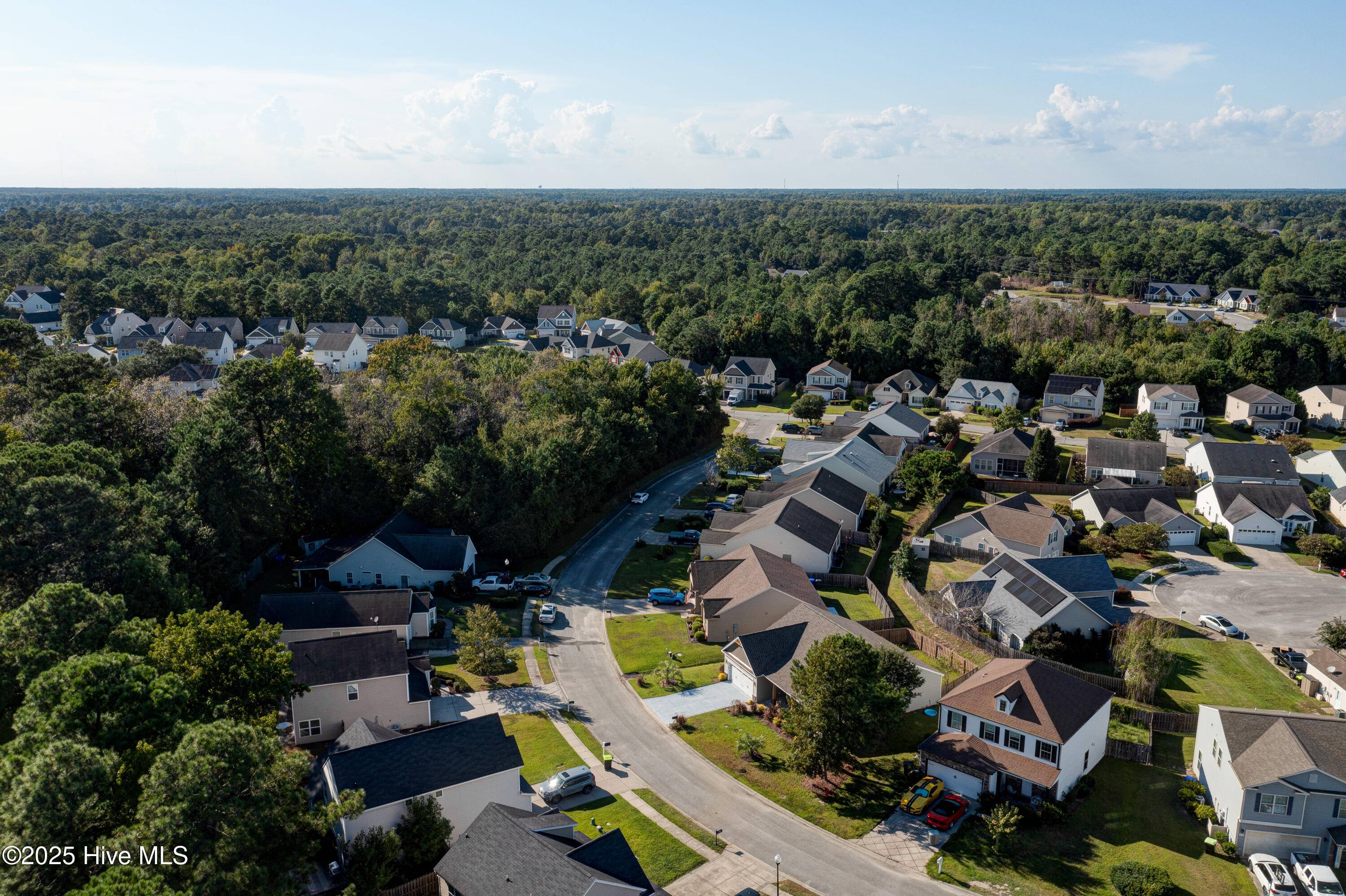 100530947 | Photo 49