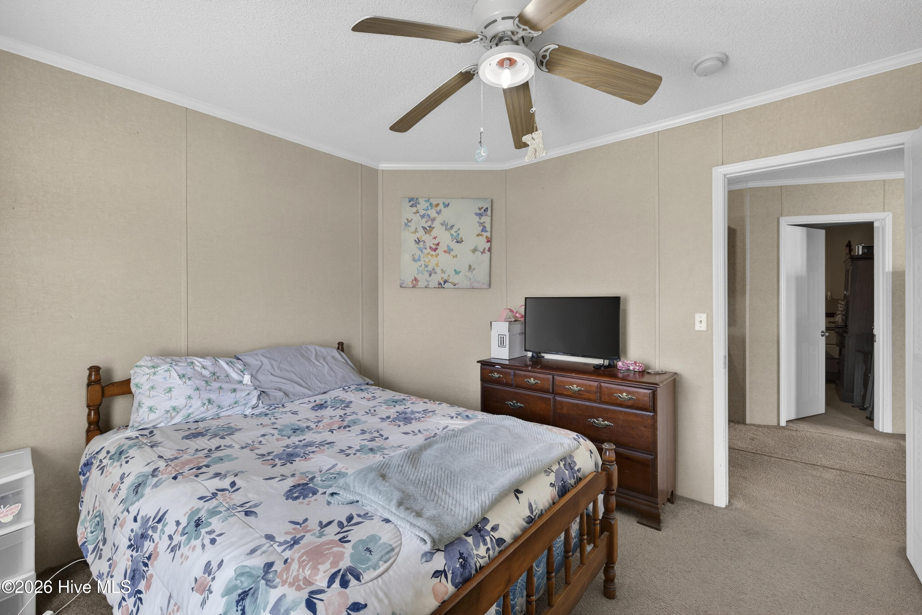 100553499 | Photo 20