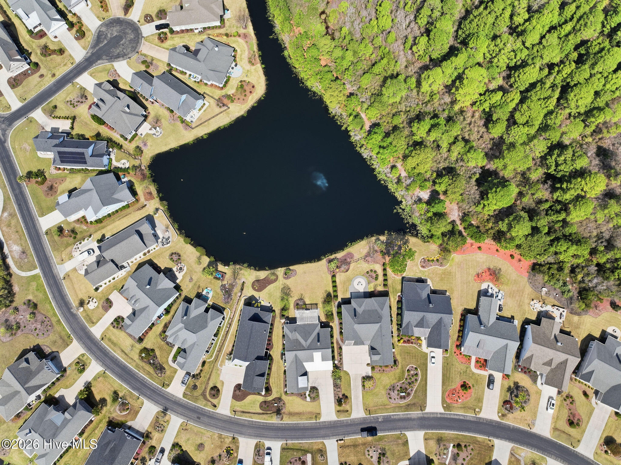 100563234 | Photo 46