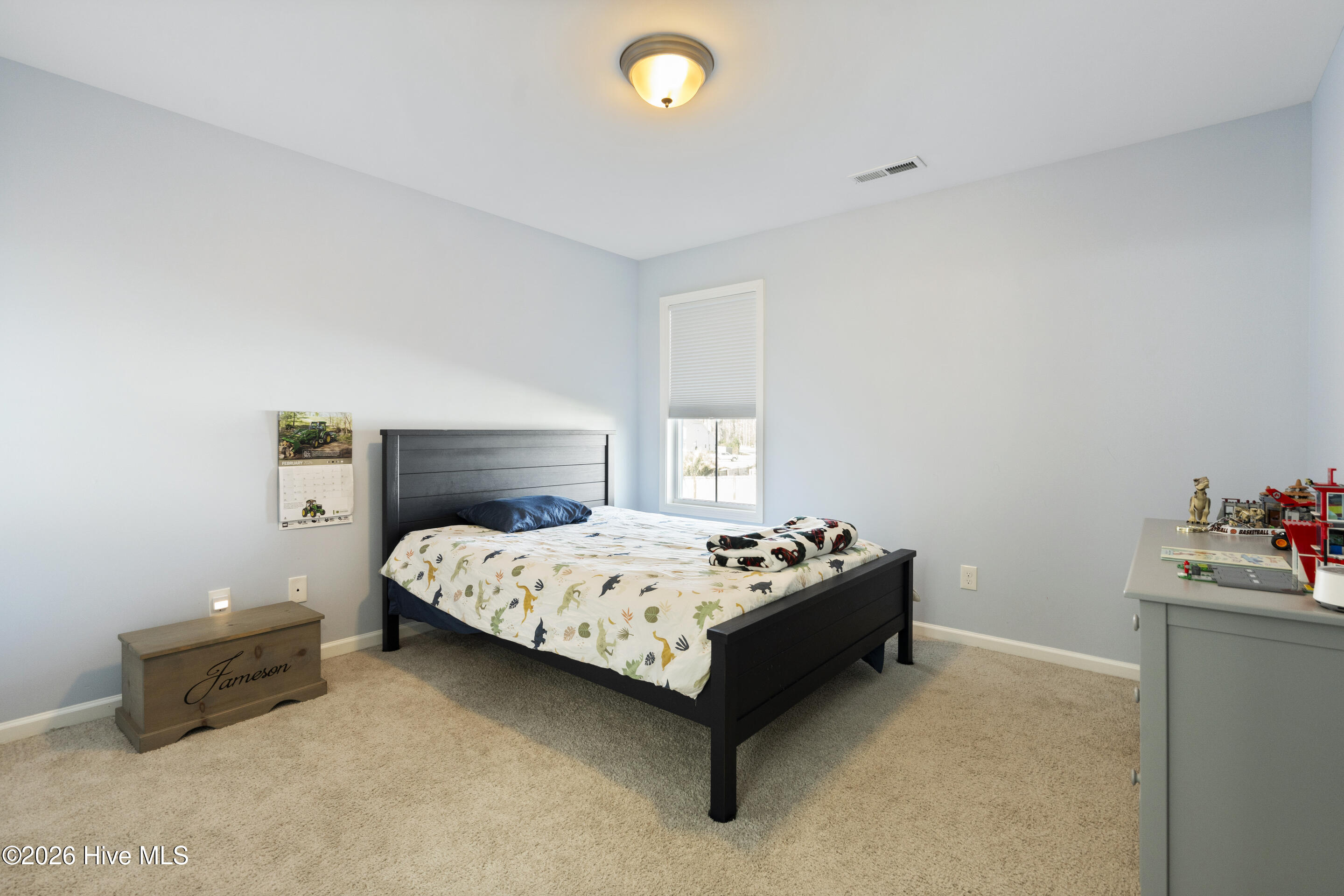 21 Violetear Ridge, Hampstead, NC, 28443